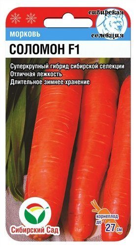 Морковь Соломон (Сиб сад)