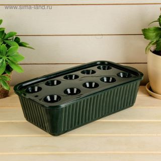 Ящик для выращивания зеленого лука ( темно - зеленый )