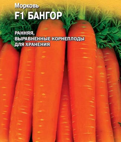 Морковь Бангор F1 (гр) ГЛ