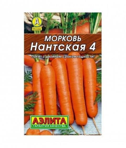 Морковь Нантская 4 (Аэлита)