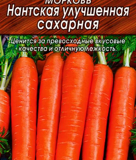 Морковь Нантская улучшенная сахарная (Аэлита)
