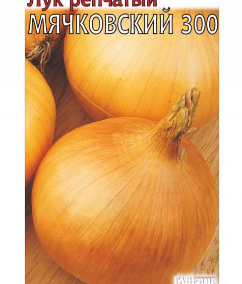 Лук Мячковский 300 (Гавр)