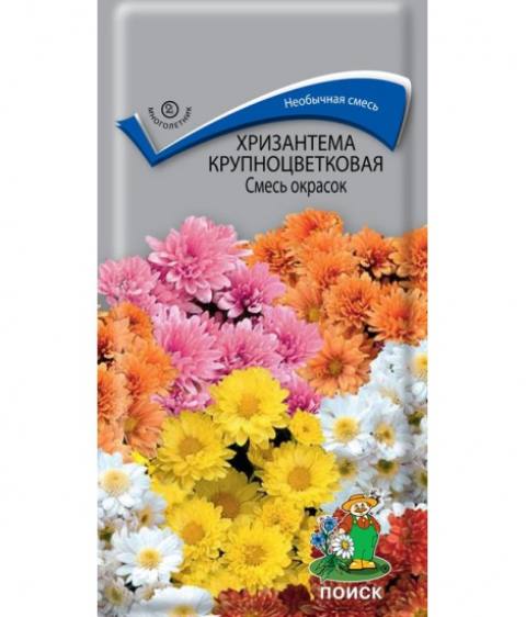 Хризантема смесь окрасок крупноцветковая (мн) (П)