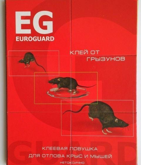 Euroguard  Клеевая ловушка от грызунов