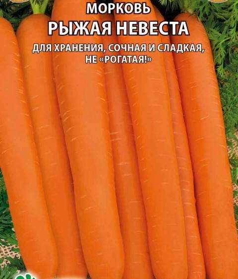 Морковь Рыжая Невеста (Премиум)