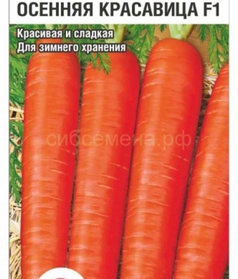 Морковь Осенняя красавица  F1  (Сиб сад)