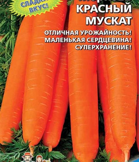 Морковь Красный Мускат  (АМ)