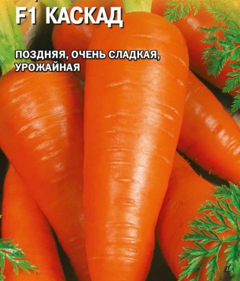 Морковь Каскад  F1 (Гавр)