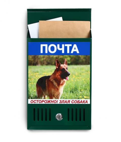 Ящик почтовый с замком , вертикальный , Фото собака , зеленый